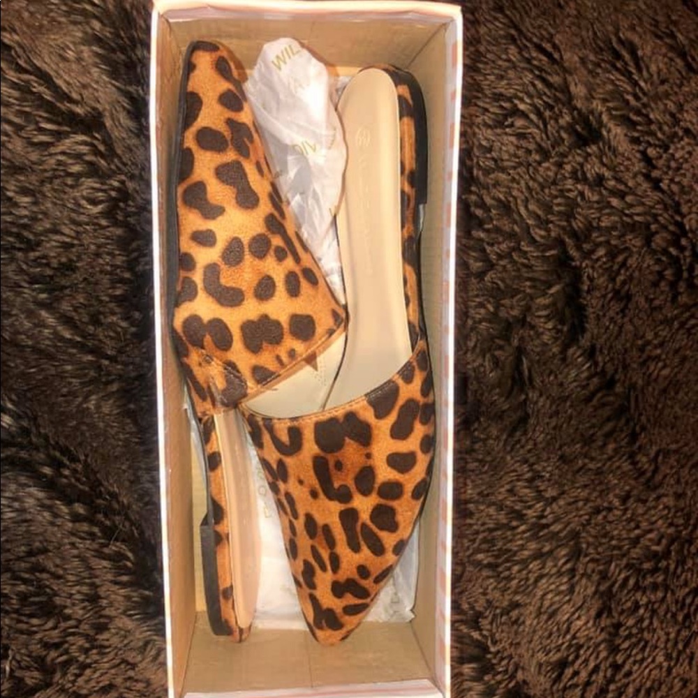 Cheetah flats